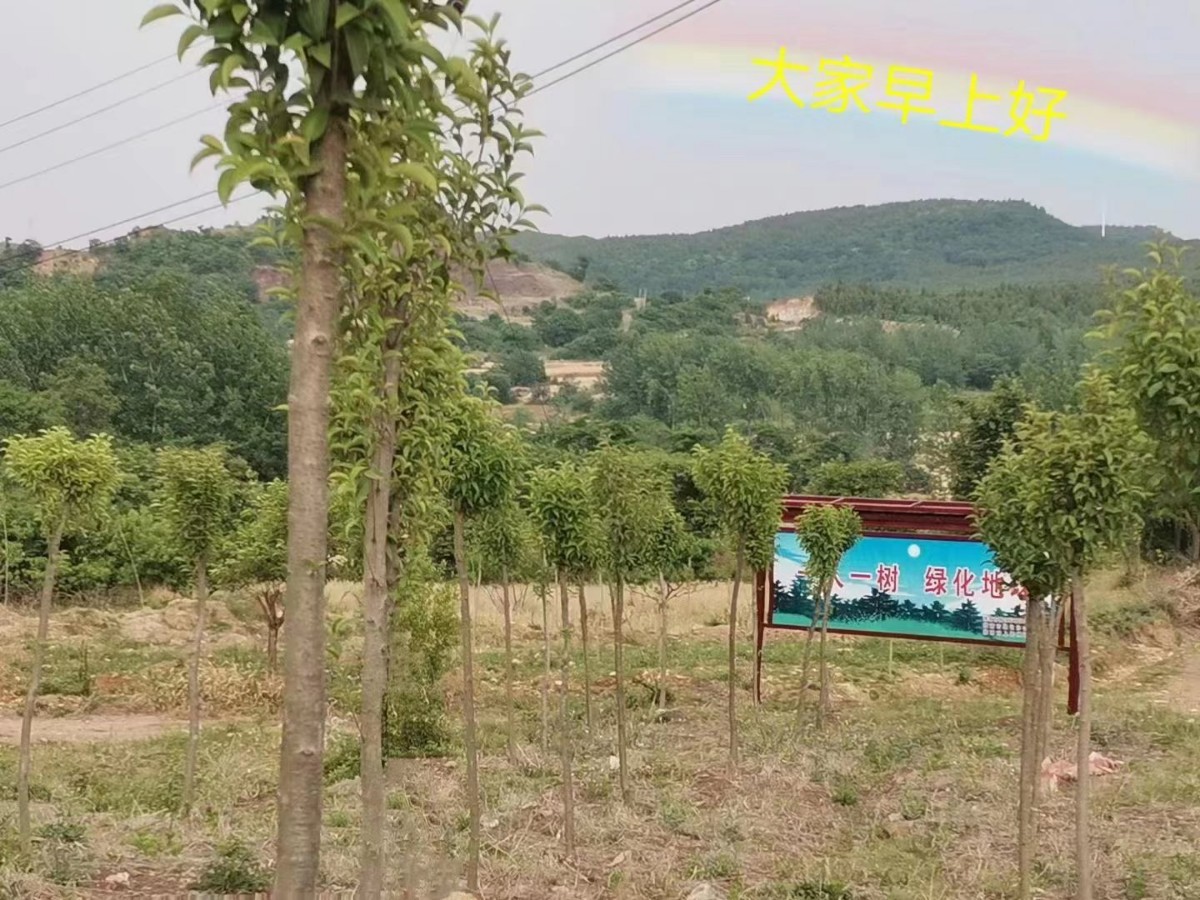 微信圖片_20230212082019.jpg