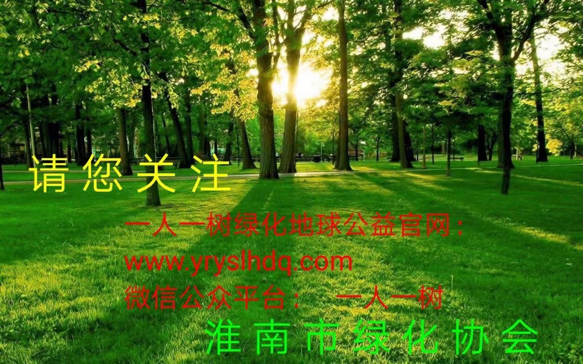 微信圖片_20230212082059.jpg