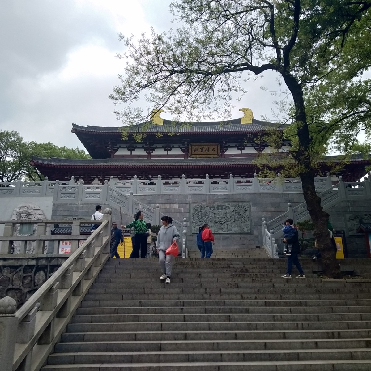 IMG20230405160703.jpg