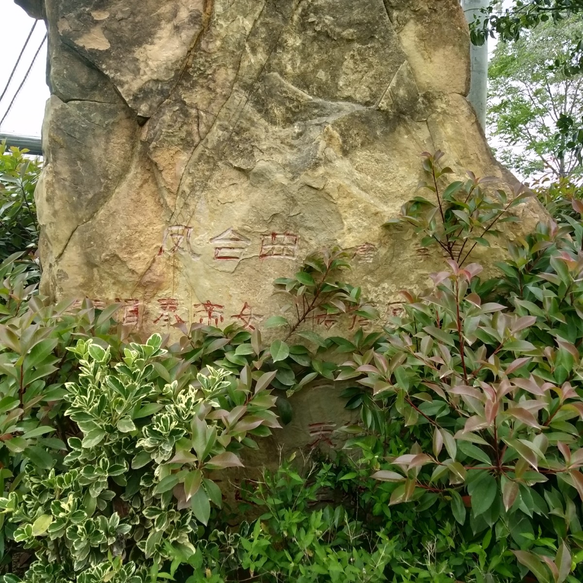 IMG20230422090928.jpg