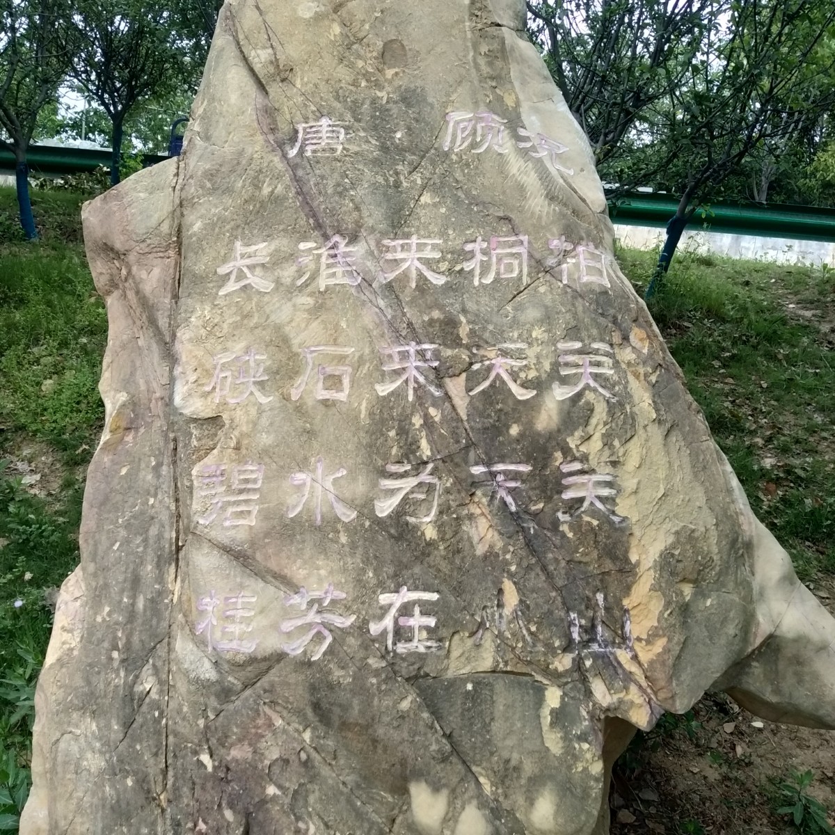 IMG20230422091541.jpg
