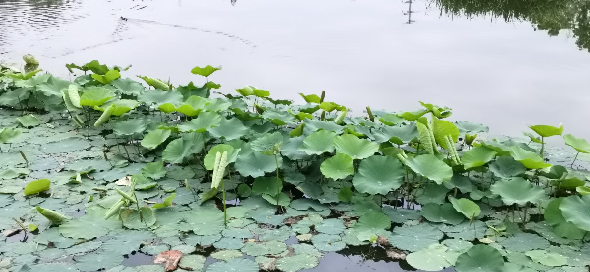 微信圖片_202305262113416.jpg