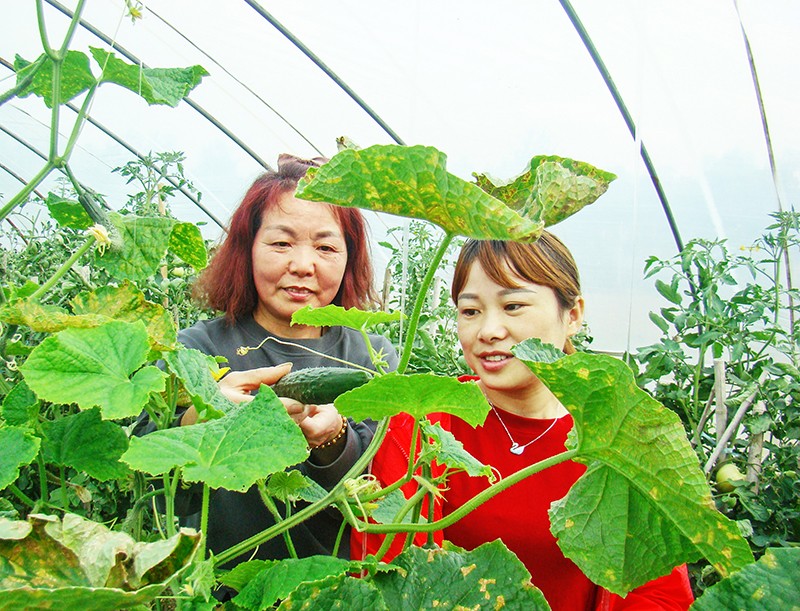 DSC00058_副本.jpg