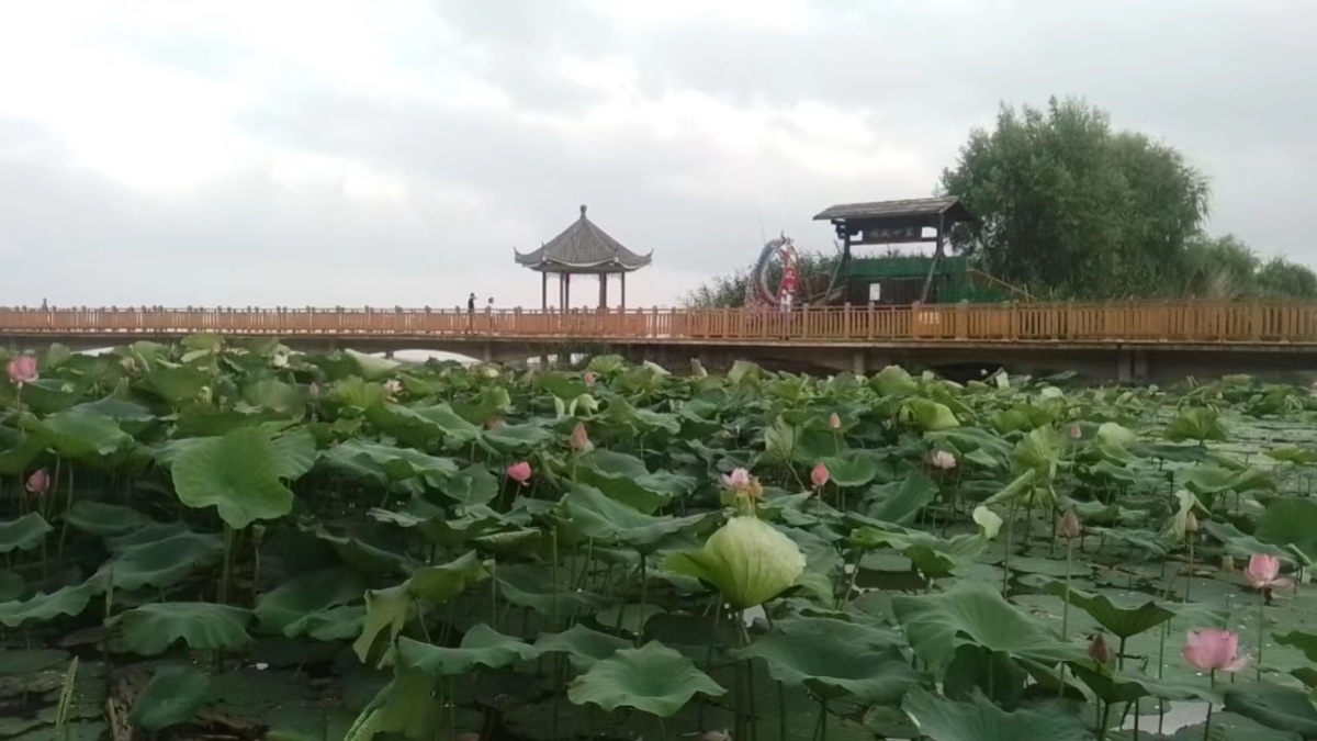 45E3FE46-263D-45BE-AE60-494D42829F97.jpeg