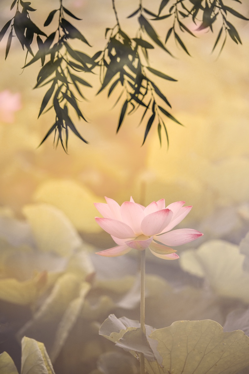 B8BF3628-CC5A-44AD-A5B5-B1D0414590A3.jpeg