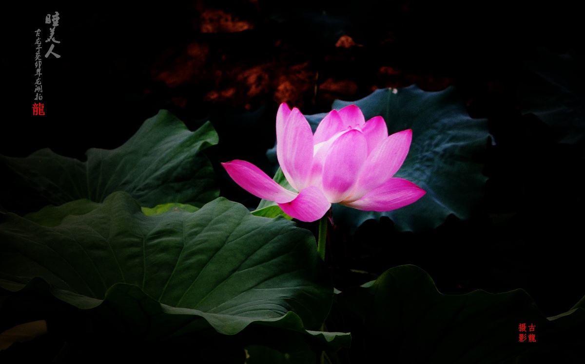D700EC60-99EA-40BE-811D-D62B6FC36A1E.jpeg