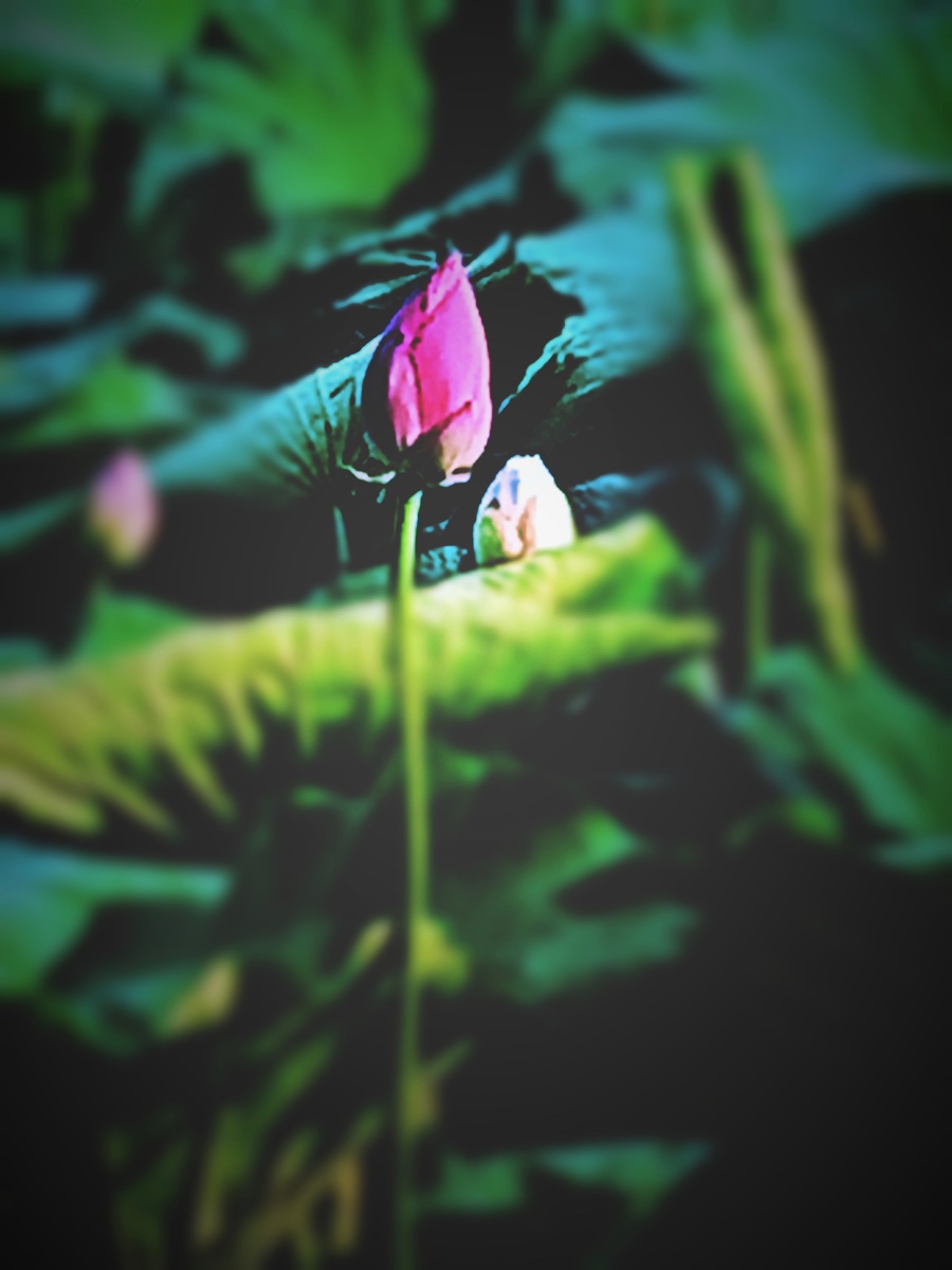 543DEDDE-671F-44FD-9135-57E0B7E7F417.jpeg