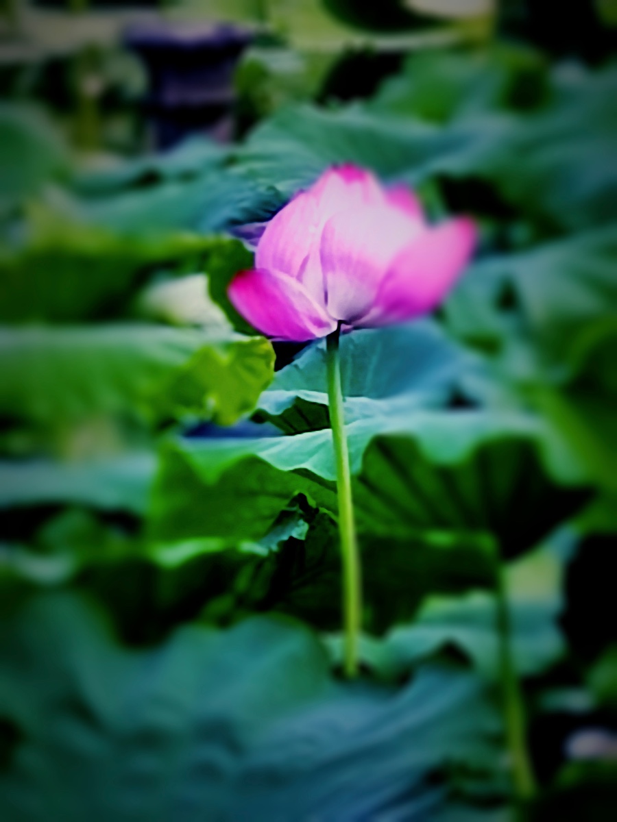 94297915-69FD-4CF2-A0A3-868CFEB88EED.jpeg
