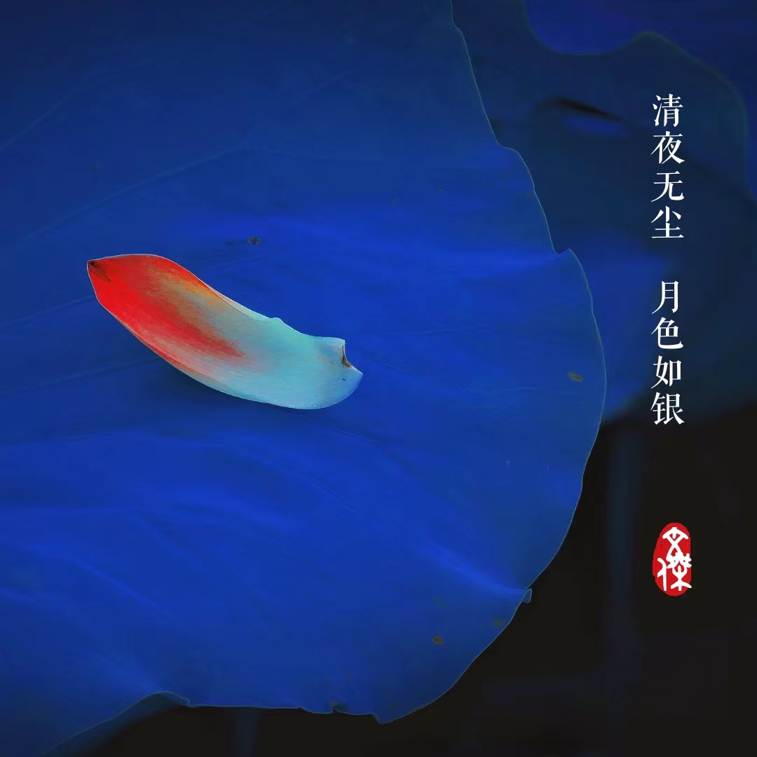 766C81A2-E971-4C9D-829D-523FB4D7D9A1.jpeg