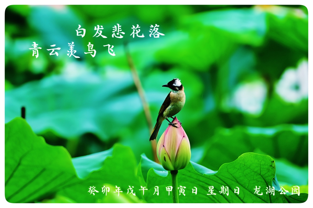 2D6AE492-4B98-49A6-B8CB-975AC30607CD.jpeg