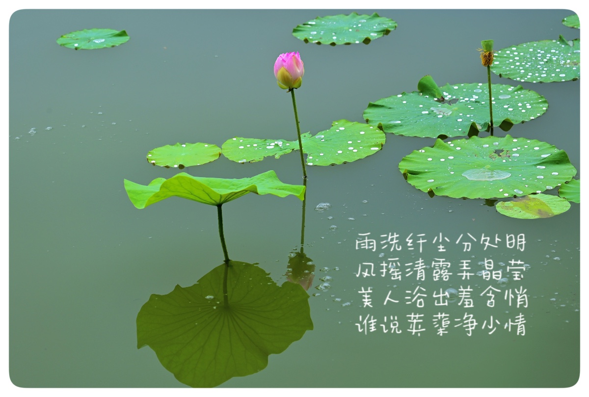 95947D69-5C9F-4E37-AF1F-890B4113469D.jpeg