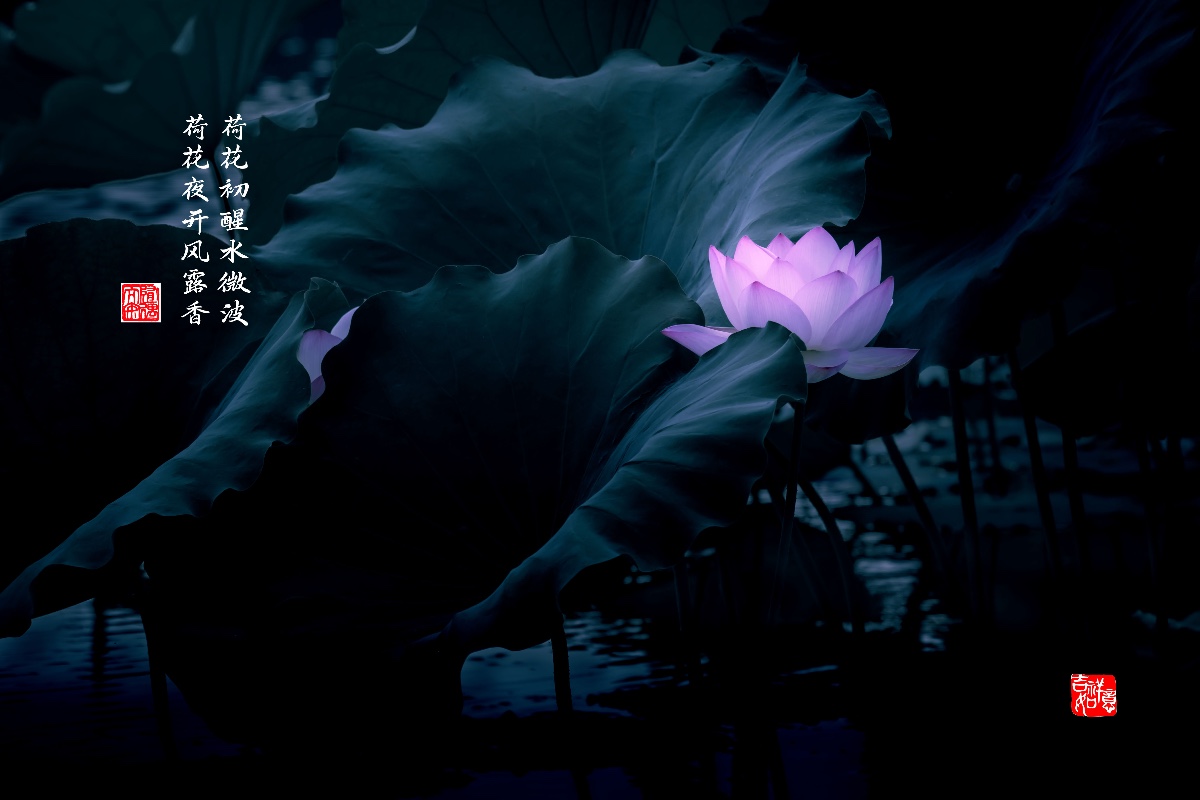 5F3E3379-80E9-4DD8-A69D-CF276EB54D1B.jpeg