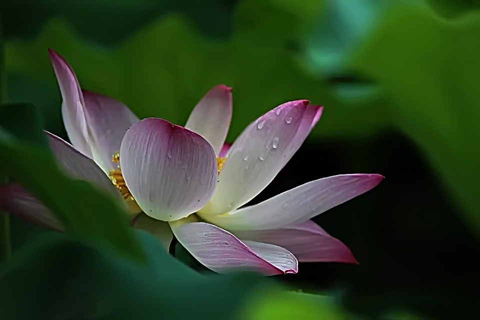 D0153ED2-48EA-4553-9A8B-3CFF07AED0D3.jpeg