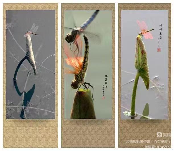 微信圖片_20230711171404.jpg 微信圖片_20230711171404.jpg