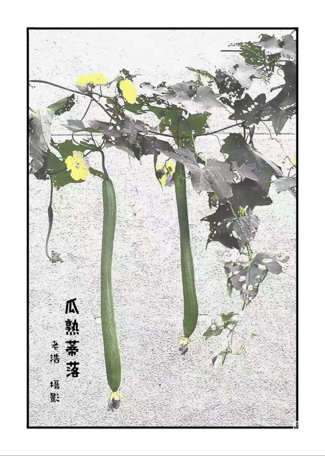 微信圖片_20230711171501.jpg 微信圖片_20230711171501.jpg