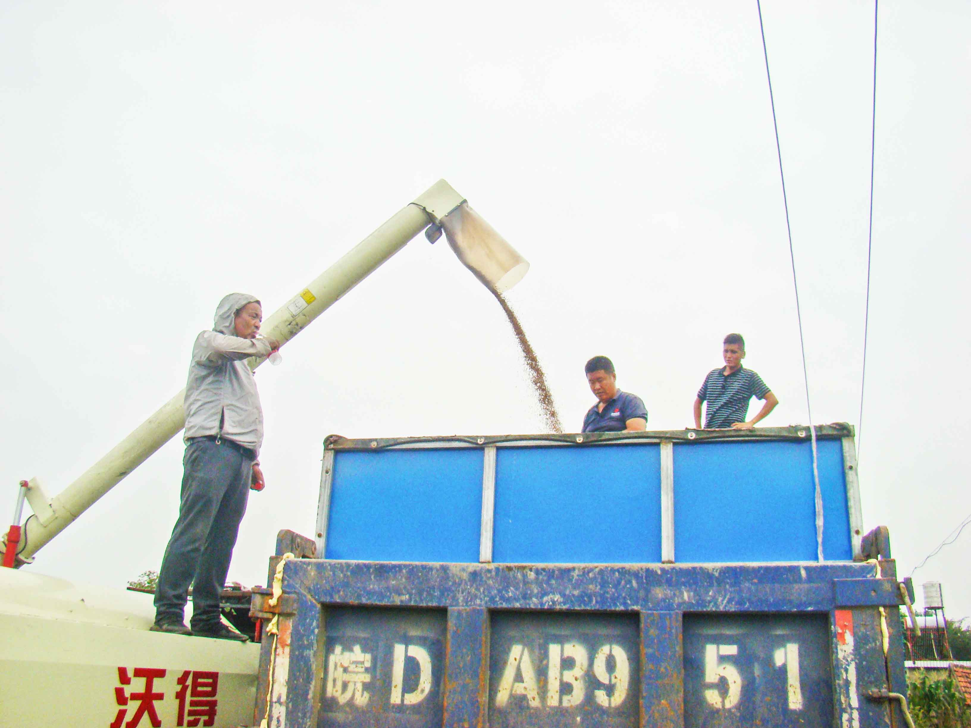 DSC02585_副本.jpg