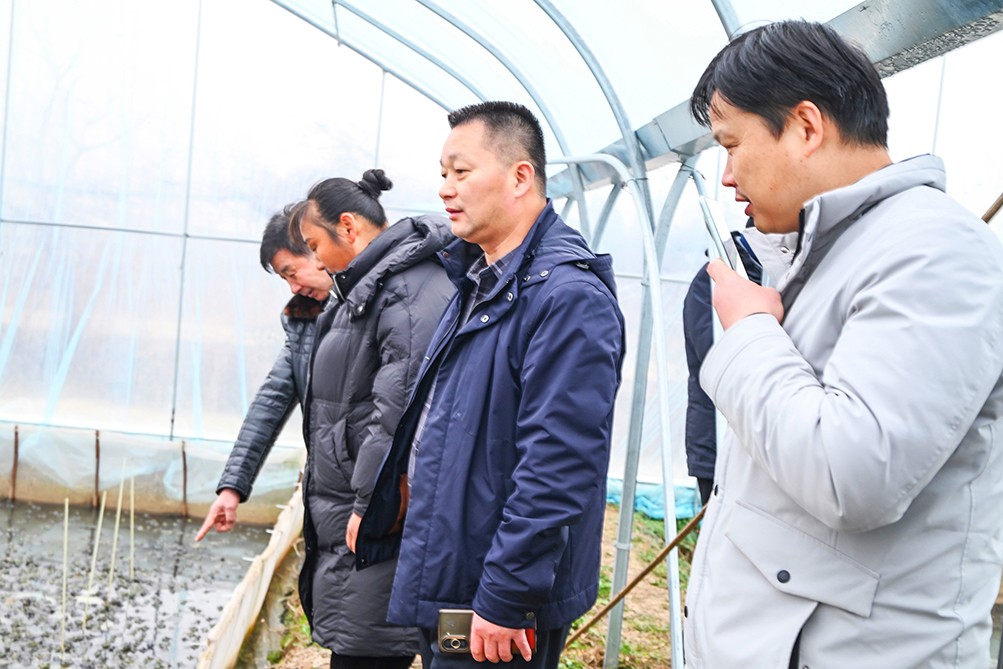 DSC_6456_副本.jpg