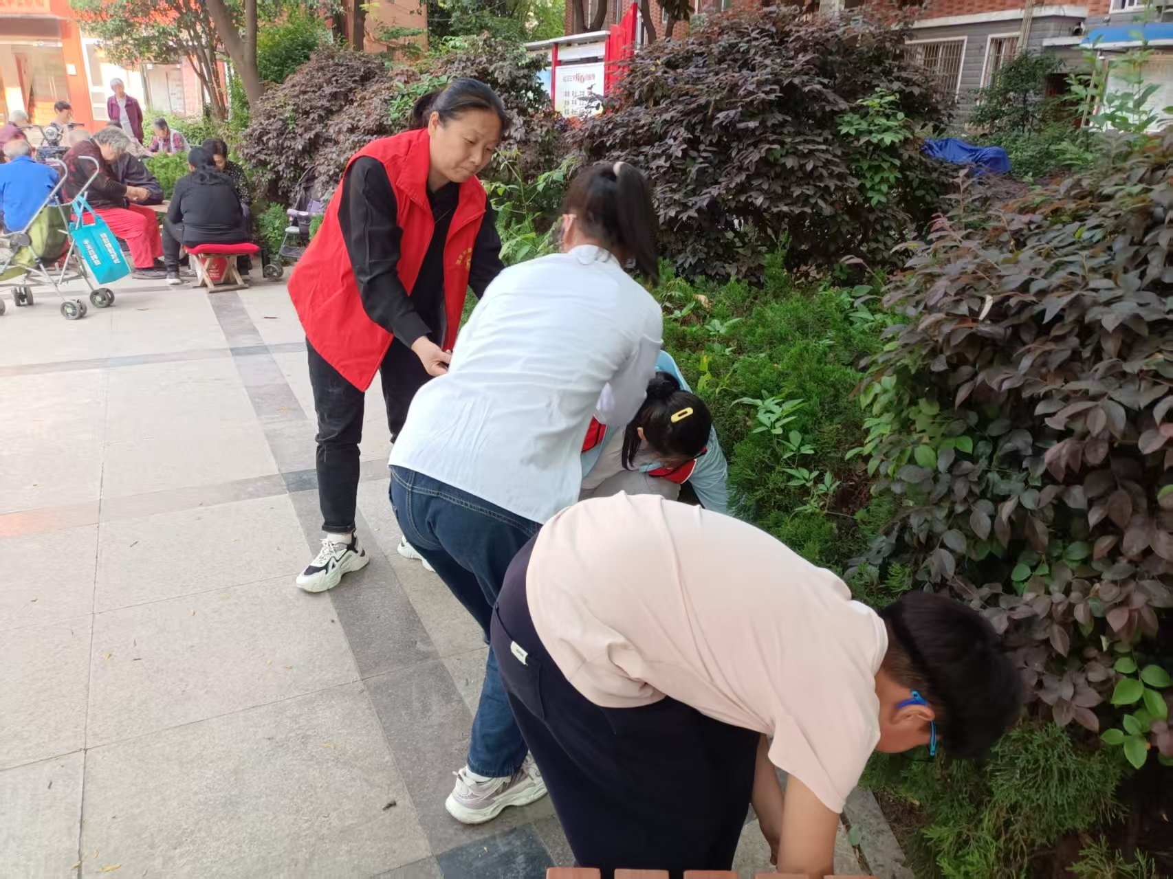 圖片2.png 圖片2.png