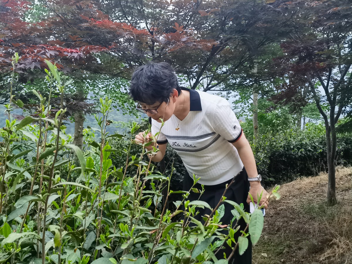 微信圖片_20250510210000.jpg