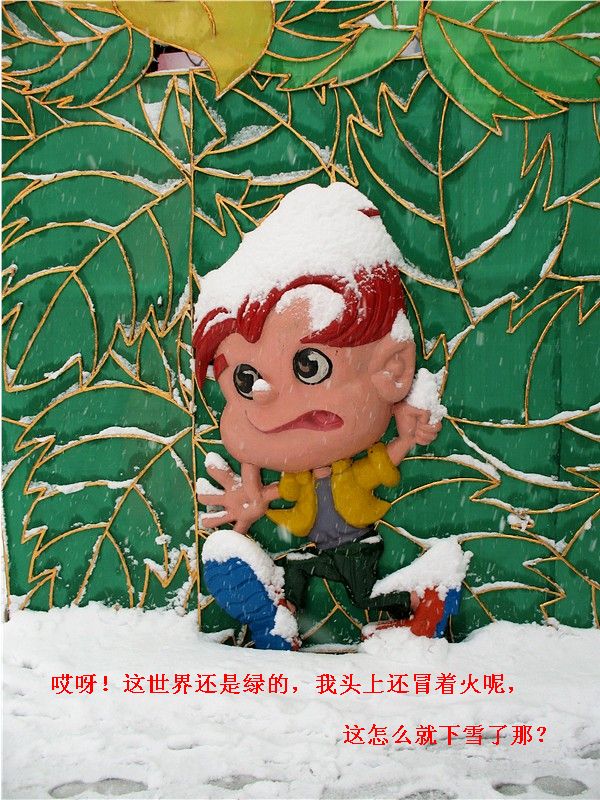 雪的童話—2008年第一場雪