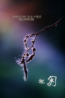 匆匆