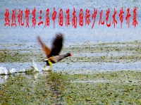 第三屆中國淮南國際少兒藝術(shù)節(jié)開幕