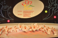第三屆中國淮南國際少兒藝術(shù)節(jié)<<小荷風(fēng)采>>第二場