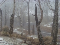 長白山風景