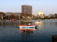 冬至龍湖