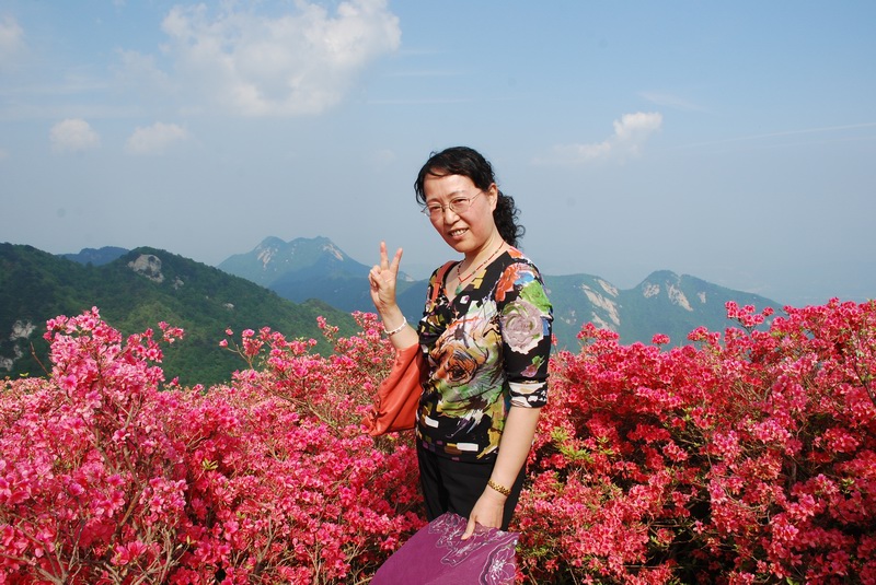 杜鵑花海