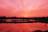 龍湖夕照