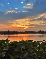 夕陽(yáng)下的龍湖公園