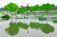 小雨淅瀝瀝