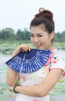 荷花淀里美人俏