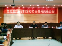 淮南市文化建設(shè)與百姓文化生活網(wǎng)民座談會