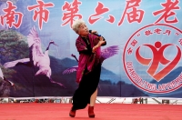 一個老藝人的舞臺風彩