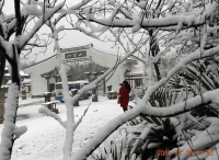 踏雪八公山