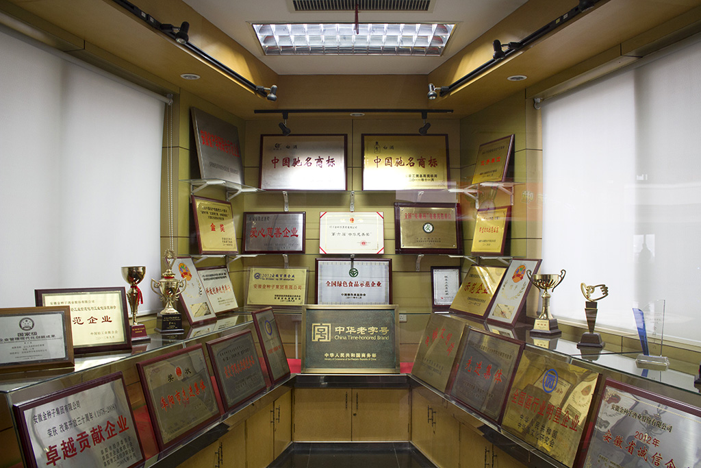 參觀“安徽金種子酒業(yè)”