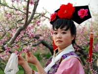 “最美花仙子”攝影大賽參賽作品