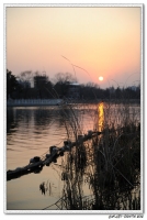 龍湖夕照
