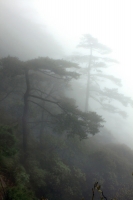 煙雨三清山
