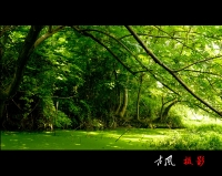 綠色記憶