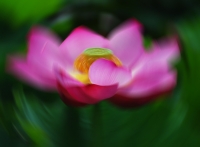 風荷
