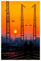 守候夕陽(yáng)