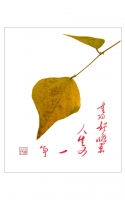 重陽好晚景　人生又一年
