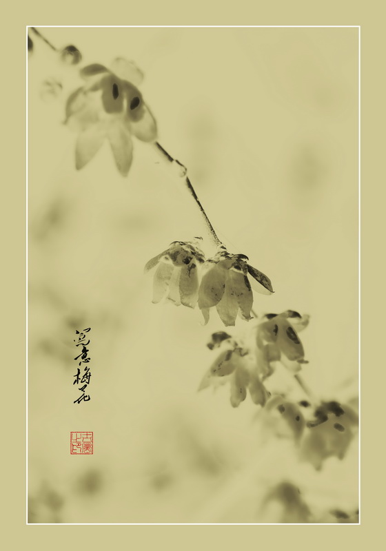 仿古畫意梅花