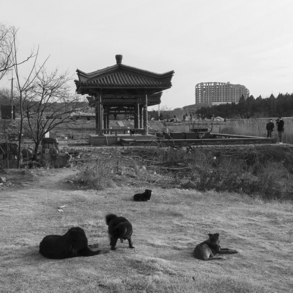 正在開發的土地