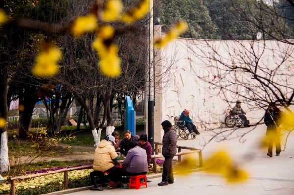 梅花時節