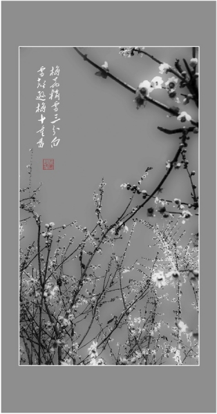 梅花圖