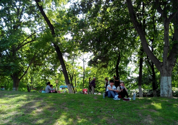 龍湖公園春色